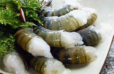 Black Tiger Shrimp, Headless Shell On (HLSO)